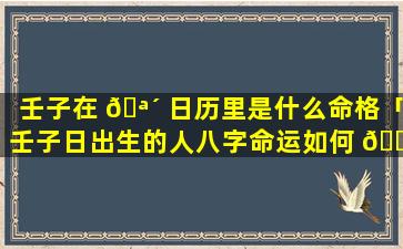 壬子在 🪴 日历里是什么命格「壬子日出生的人八字命运如何 🐈 」